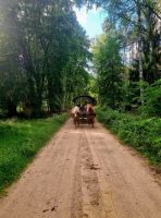 Planwagenfahrt zum Hof von Eulalia (5)