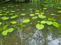 Staakenbootfahrt Krutinja (8)
