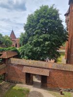 Die Marienburg Malbork (19)