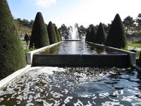 Keukenhof