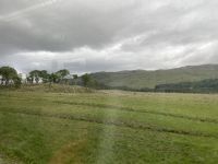 wilde Landschaft