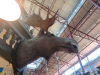 Stockholm. Östermalms Saluhall