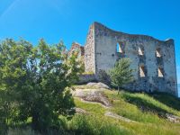 Brahehus