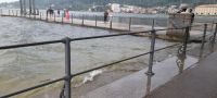 Bodensee mit viel Wasser 