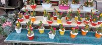 Nizza -Blumenmarkt