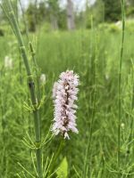 1. Etappe: Garmisch-Mittenwald