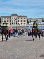 Stockholm - Wachablösung am Königlichen Schloss 