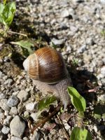 2. Etappe: Begegnungen unterwegs