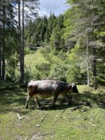 2. Etappe: Begegnungen unterwegs