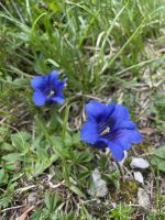 2. Etappe: Aufstieg zum Solsteinhaus