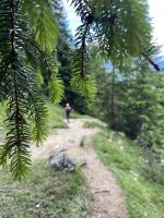 2. Etappe: Abstieg nach Hochzirl