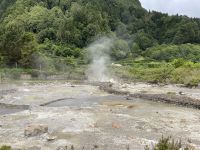Inselrundfahrt Sao Miguel - Terra Nostra Park