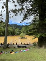 Inselrundfahrt Sao Miguel - Terra Nostra Park