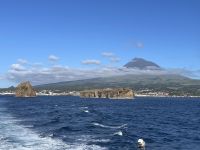 Rückfahrt von Pico nach Faial