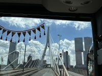 Stadtrundfahrt durch Rotterdam - Erasmusbrücke