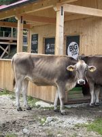 Begegungen unterwegs 