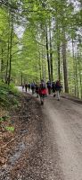 Wanderung über die Weltmeisterschaftsrodelbahn hinauf