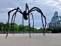 Dir Riesenspinne