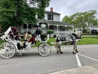 Fiaker in Niagara on the lake