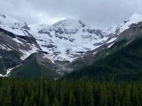 Charleston Gletscher bei Maligne See