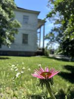 Morris-Jumel Mansion Harlem New York (3)