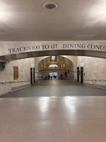 Grand Central Station New York (1)