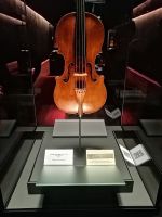 Führung durch Museo del Violino mit Davide
