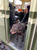 Railway Security