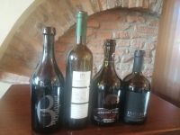 Weine von der Weinverkostung Im Weinkeller Catine Virgili