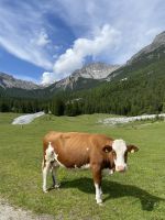 4. Etappe: Aufstieg zum Blaser