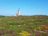 Cap Fréhel