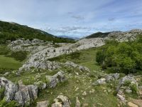 Covadonga 