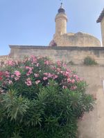 Provence Intensiv - Der Tour de Constance in Aigues Mortes