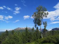 Utvikfjell