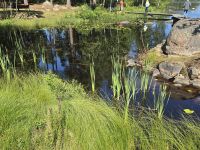 Idylischer Natursee