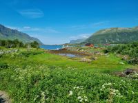Lofoten - Insel Austvågøya