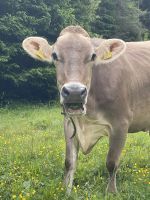 6. Etappe: Obernberger See - Sandjoch - Pflerschtal/Südtirol