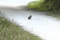 ja wer sitzt denn da?