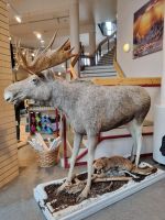 Saltfjell - Polarkreiszentrum (Polarsirkelsenteret)