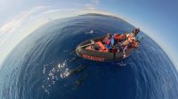 Whale Watching Tour mit vielen Delphinen :-)