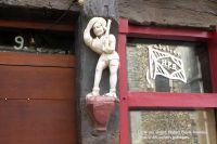 Detail am Wegesrand in Le Mans