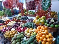 Regionales und exotisches Obst in allen Formen und Farben