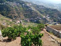 Gemüsegarten an der Levada do Norte