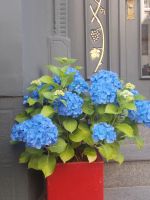 DSCN9252.JPG