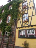 DSCN9356.JPG
