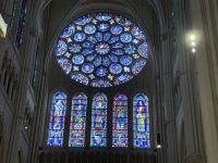 Westrose als Gruppe fon Fenstern