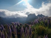 Pico do Arieiro