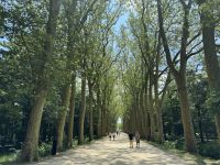 Allee zum Schloss