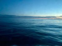 Abendstimmung, Holland America Line