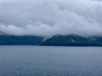 Wildtierbeobachtung, Holland America Line